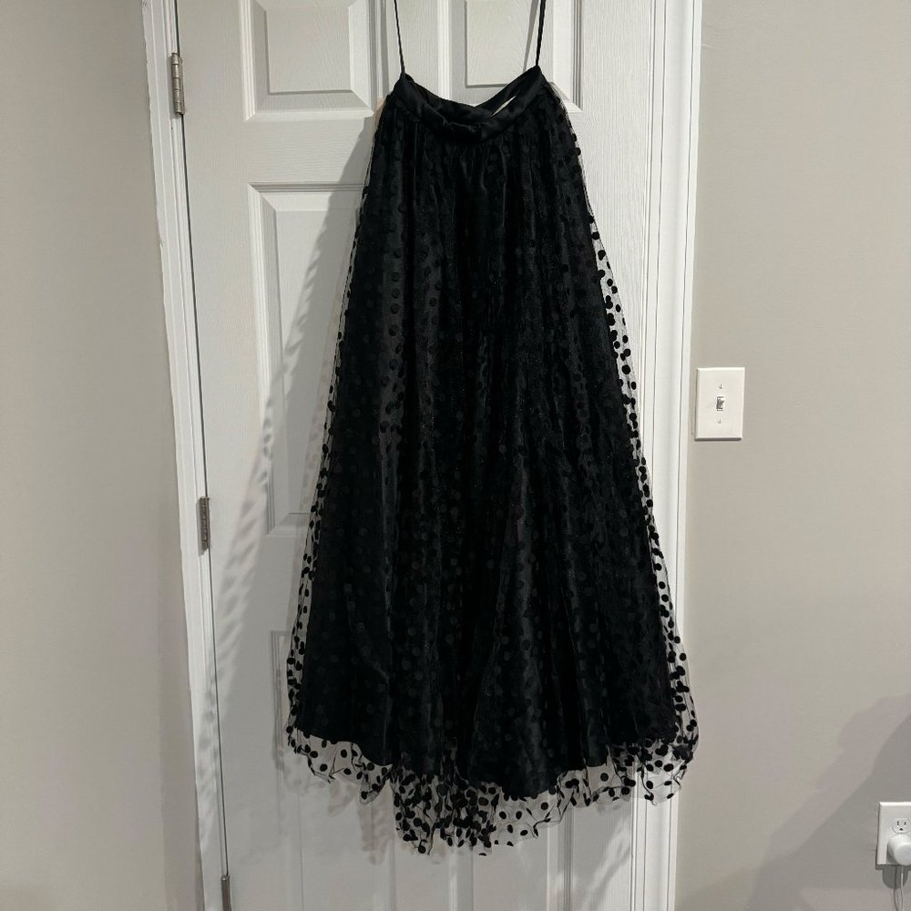 Fame and Partners Black Ballroom Skirt US0